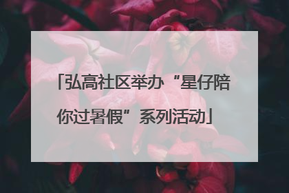 弘高社区举办“星仔陪你过暑假”系列活动