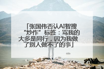 张国伟否认AI智搜“炒作”标签：骂我的大多是同行，因为我做了别人做不了的事