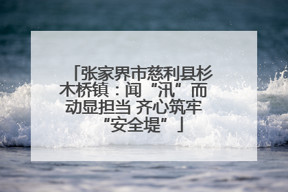 张家界市慈利县杉木桥镇：闻“汛”而动显担当 齐心筑牢“安全堤”