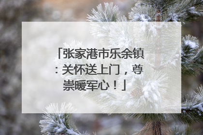 张家港市乐余镇：关怀送上门，尊崇暖军心！