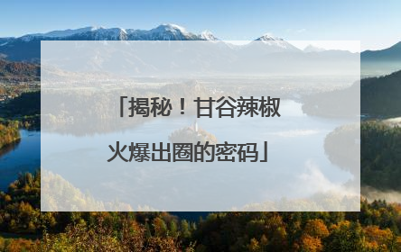揭秘！甘谷辣椒火爆出圈的密码
