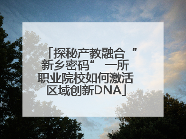 探秘产教融合“新乡密码” 一所职业院校如何激活区域创新DNA