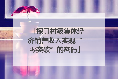 探寻村级集体经济销售收入实现“零突破”的密码