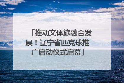 推动文体旅融合发展！辽宁省匹克球推广启动仪式启幕