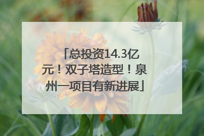 总投资14.3亿元！双子塔造型！泉州一项目有新进展