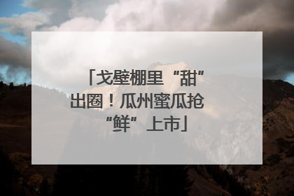 戈壁棚里“甜”出圈！瓜州蜜瓜抢“鲜”上市