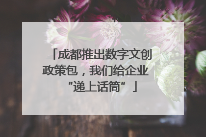 成都推出数字文创政策包，我们给企业“递上话筒”