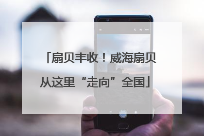 扇贝丰收！威海扇贝从这里“走向”全国