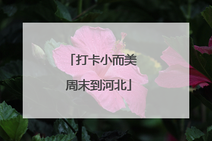 打卡小而美 周末到河北