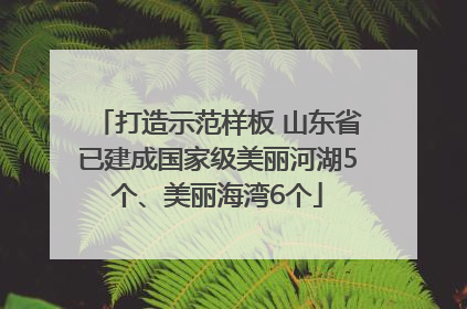 打造示范样板 山东省已建成国家级美丽河湖5个、美丽海湾6个