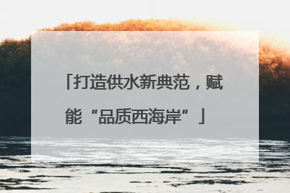 打造供水新典范，赋能“品质西海岸”