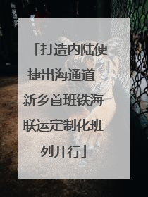 打造内陆便捷出海通道 新乡首班铁海联运定制化班列开行