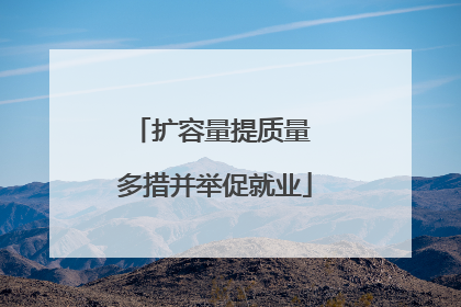 扩容量提质量 多措并举促就业