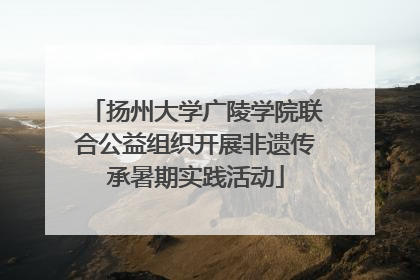扬州大学广陵学院联合公益组织开展非遗传承暑期实践活动