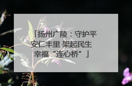 扬州广陵：守护平安仁丰里 架起民生幸福“连心桥”