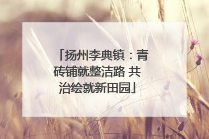 扬州李典镇：青砖铺就整洁路 共治绘就新田园