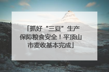 抓好“三夏”生产 保障粮食安全！平顶山市麦收基本完成