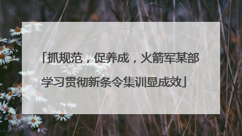 抓规范，促养成，火箭军某部学习贯彻新条令集训显成效