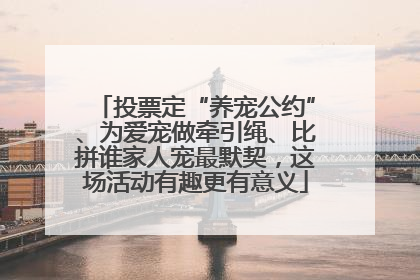 投票定“养宠公约”、为爱宠做牵引绳、比拼谁家人宠最默契，这场活动有趣更有意义