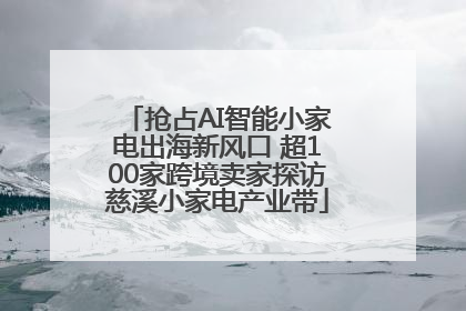 抢占AI智能小家电出海新风口 超100家跨境卖家探访慈溪小家电产业带