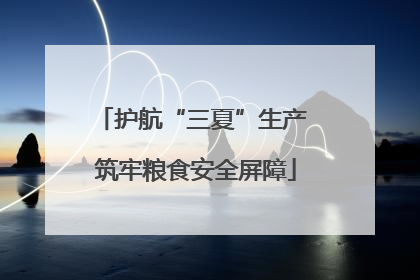 护航“三夏”生产 筑牢粮食安全屏障