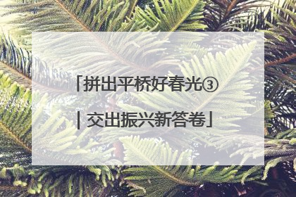 拼出平桥好春光③｜交出振兴新答卷