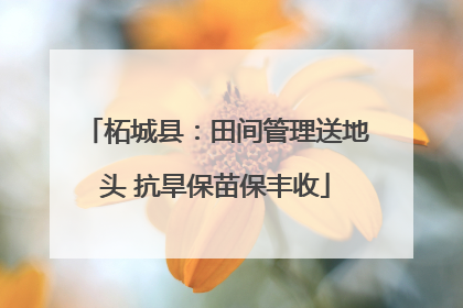 柘城县：田间管理送地头 抗旱保苗保丰收