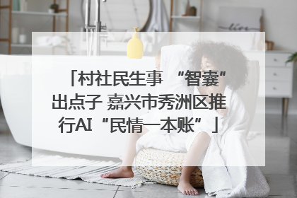 村社民生事 “智囊”出点子 嘉兴市秀洲区推行AI“民情一本账”
