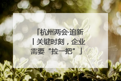 杭州两会·追新丨关键时刻，企业需要“拉一把”