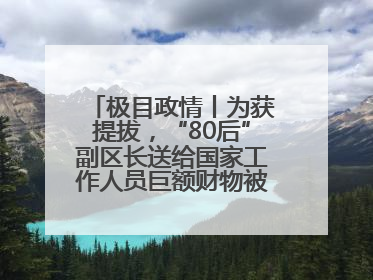 极目政情丨为获提拔，“80后”副区长送给国家工作人员巨额财物被“双开”