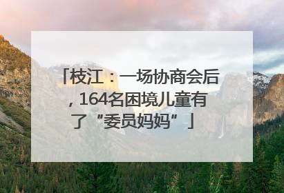枝江：一场协商会后，164名困境儿童有了“委员妈妈”