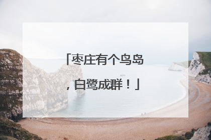枣庄有个鸟岛，白鹭成群！