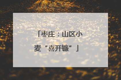 枣庄：山区小麦“喜开镰”