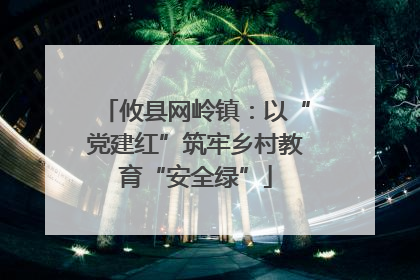 攸县网岭镇：以“党建红”筑牢乡村教育“安全绿”