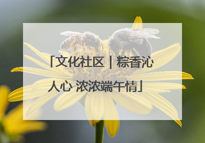 文化社区｜粽香沁人心 浓浓端午情