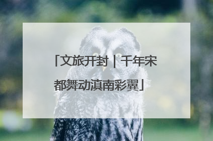 文旅开封｜千年宋都舞动滇南彩翼