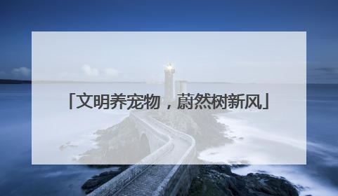 文明养宠物，蔚然树新风