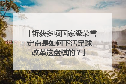 斩获多项国家级荣誉 定南是如何下活足球改革这盘棋的？