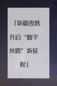 新疆孜然开启“数字丝路”新征程
