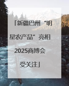 新疆巴州“明星农产品”亮相2025商博会受关注
