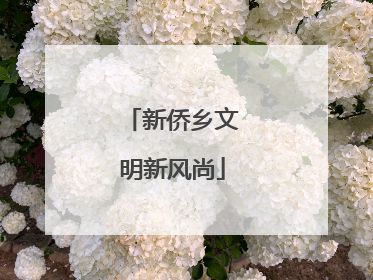 新侨乡文明新风尚