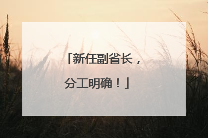 新任副省长，分工明确！