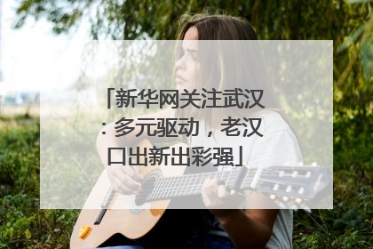 新华网关注武汉：多元驱动，老汉口出新出彩强