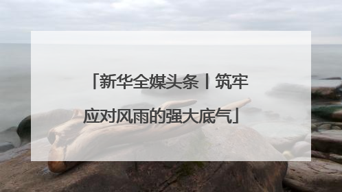新华全媒头条丨筑牢应对风雨的强大底气