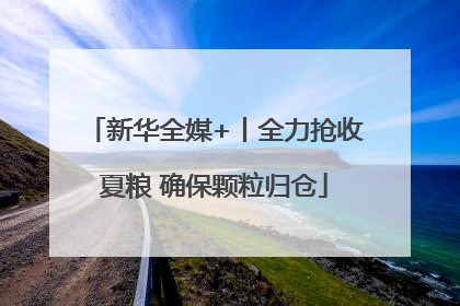 新华全媒+丨全力抢收夏粮 确保颗粒归仓