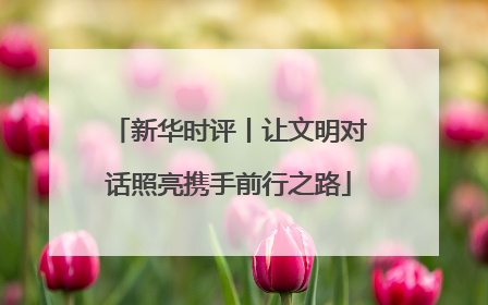新华时评丨让文明对话照亮携手前行之路