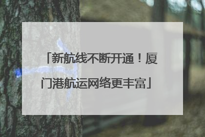 新航线不断开通！厦门港航运网络更丰富
