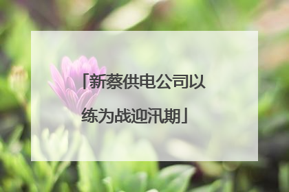 新蔡供电公司以练为战迎汛期