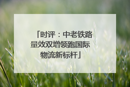时评：中老铁路量效双增领跑国际物流新标杆