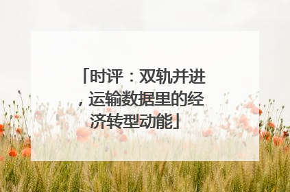 时评：双轨并进，运输数据里的经济转型动能